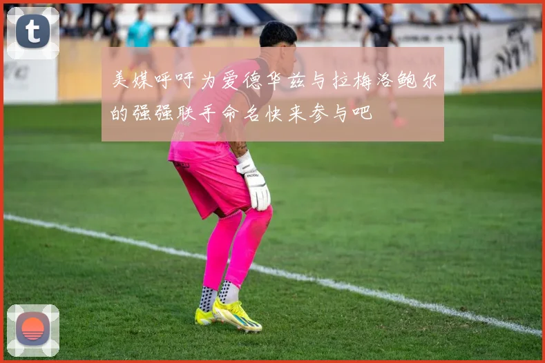 美媒呼吁为爱德华兹与拉梅洛鲍尔的强强联手命名快来参与吧