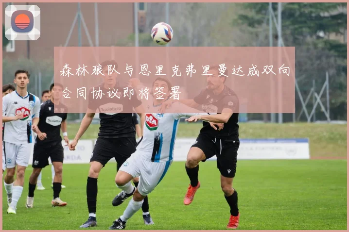 森林狼队与恩里克弗里曼达成双向合同协议即将签署
